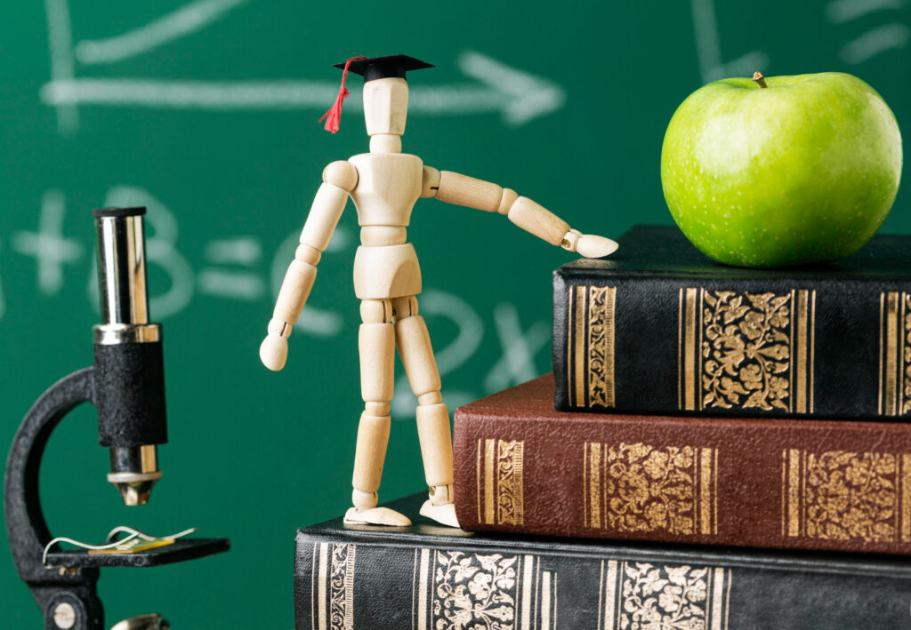 What is Schoology Alfa?
