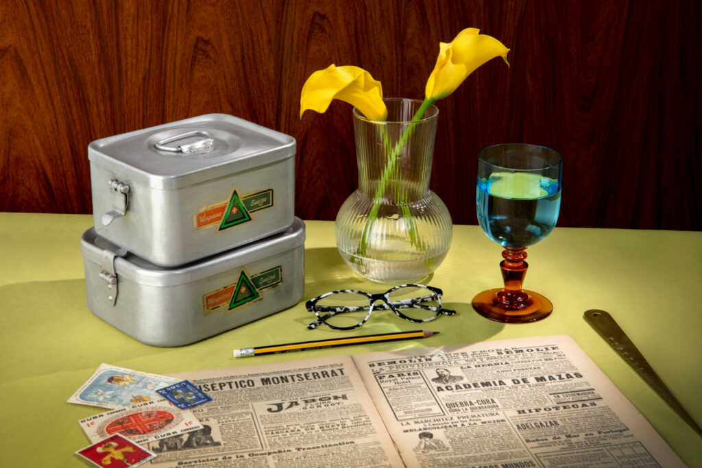 Recap of Indigo Park Chapter 1