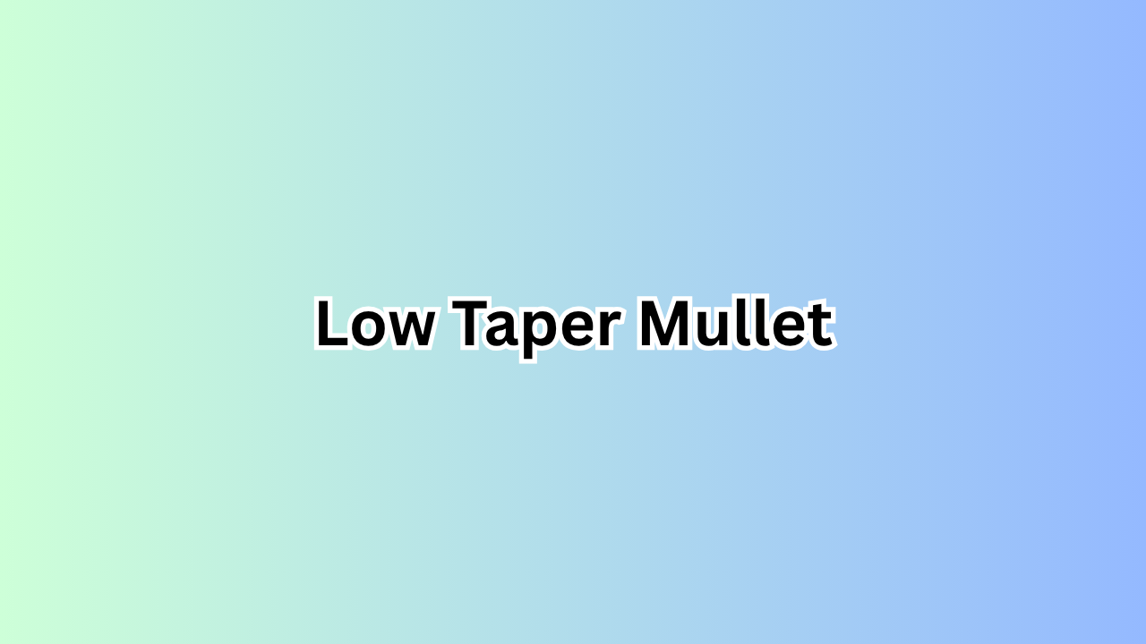 Low Taper Mullet: The Ultimate Modern Hairstyle Guide for a Bold and Stylish Look