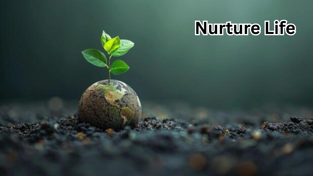 Nurture Life: Complete Guide to Healthy Kids’ Meal Delivery Service (2026 Review)